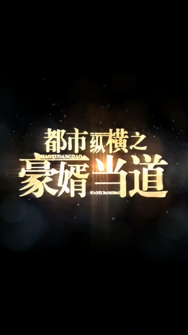 都市纵横之豪婿当道 第04集