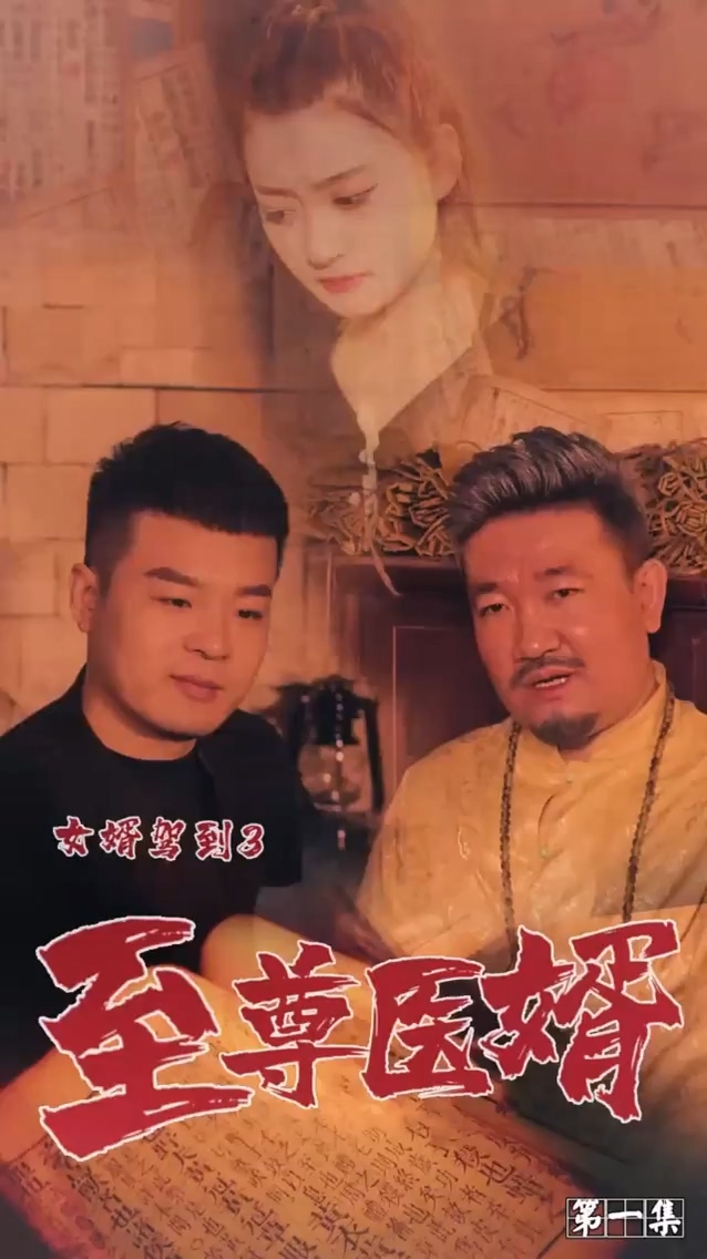 女婿驾到3 第12集