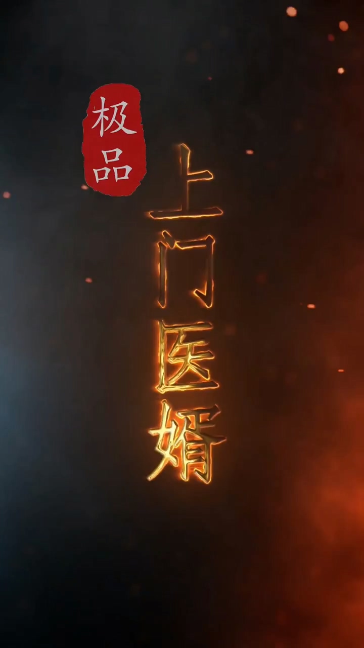 极品上门医婿 第13集