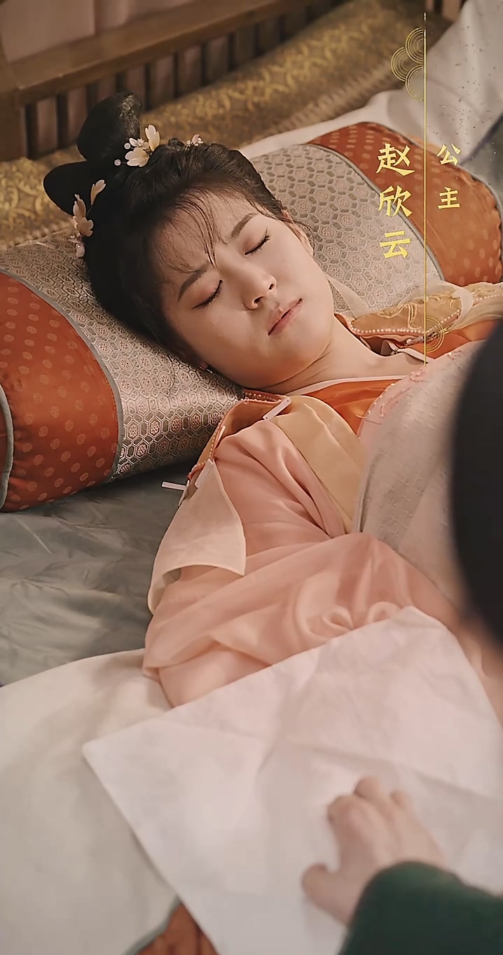 穿越后，我成了驸马 第33集