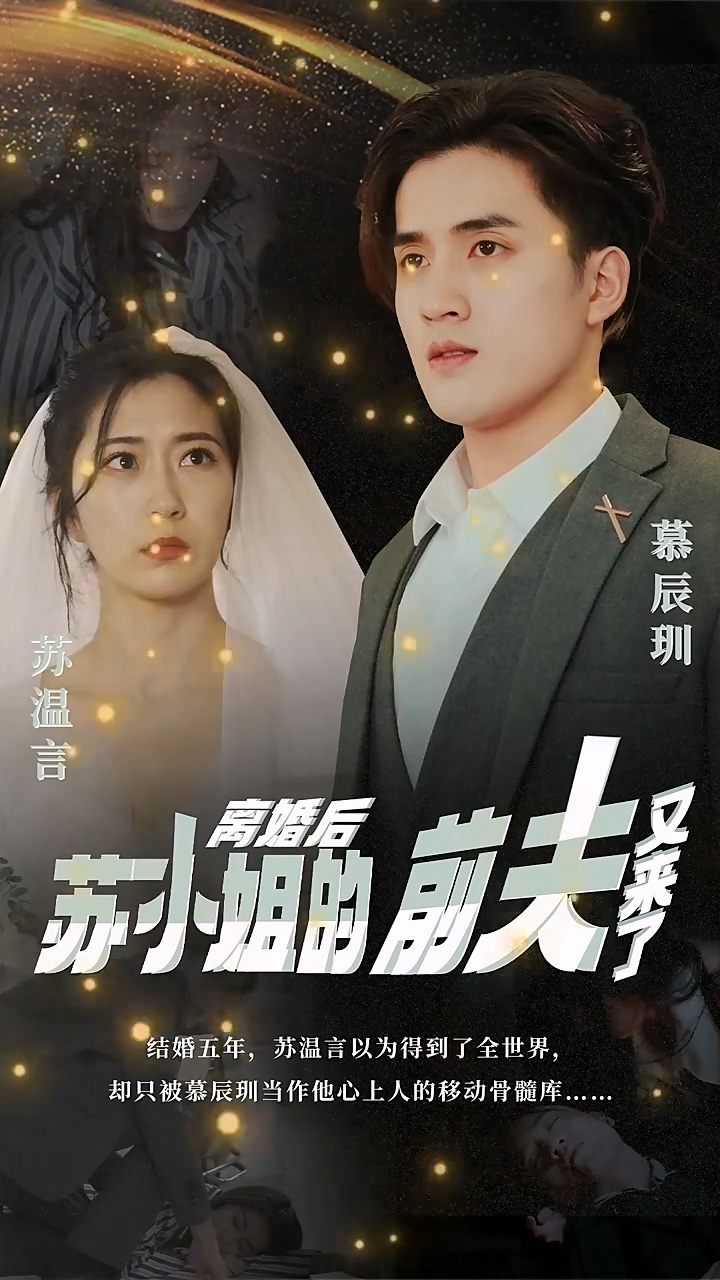 离婚后，苏小姐的前夫又来了 第02集