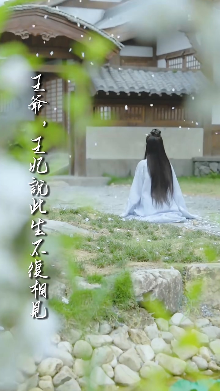 王爷，王妃说此生不复相见 第12集