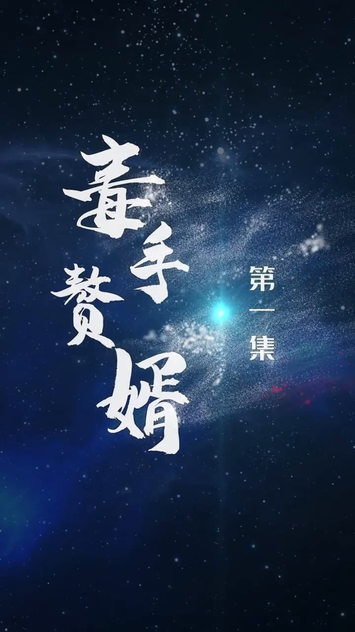 毒手赘婿 第36集