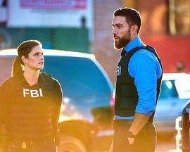 联邦调查局第四季 第04集