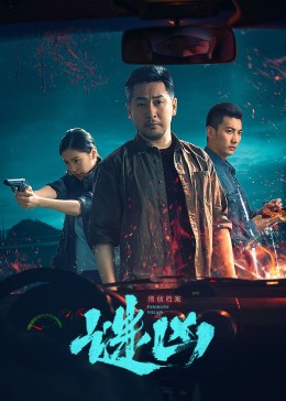 刑侦档案·谜凶 第9集