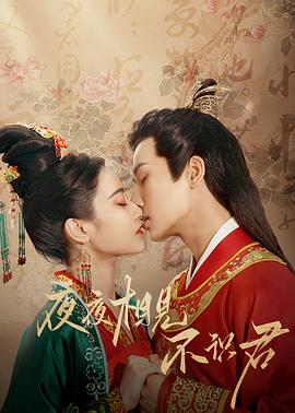 夜夜相见不识君 第18集