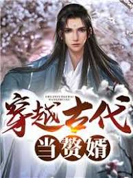 穿越古代当赘婿 41-60集