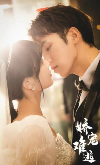 娇妻难逃 21-40集