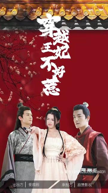 穿越王妃不好惹 11-20集