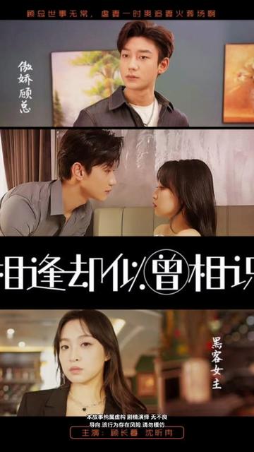 相逢却似曾相识 21-40集