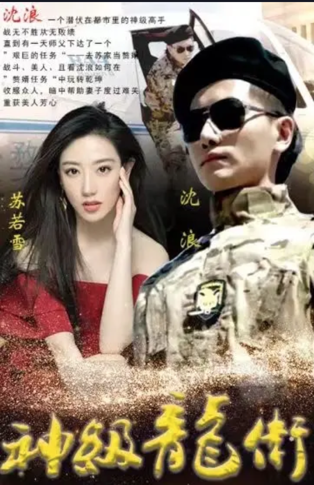 神级龙卫 21-40集