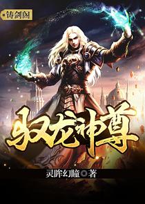 驭龙神尊 16-30集