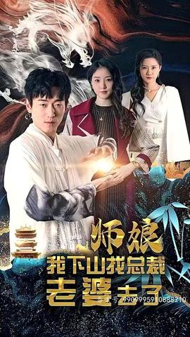 师娘，我下山找总裁老婆了 1-20集