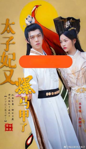 太子妃又爆马甲了 6-10集