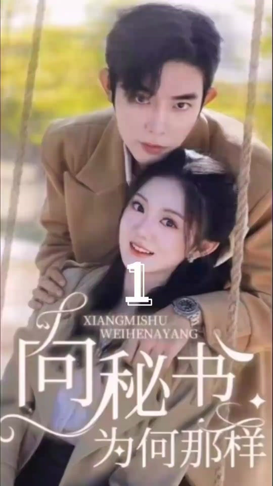 向秘书为何那样 21-40集