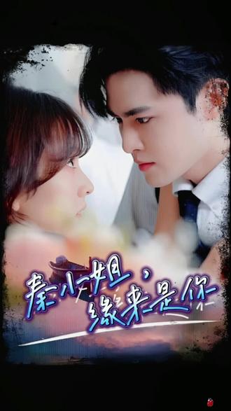 秦小姐，缘来是你 41-60集