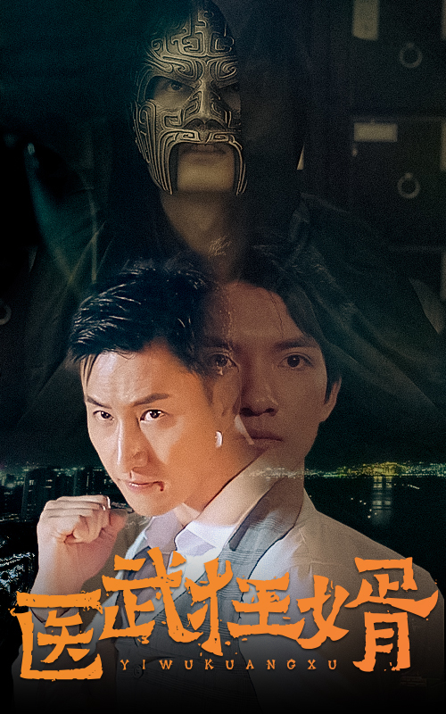 医武狂婿 1-20集