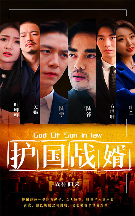 护国战婿 41-60集