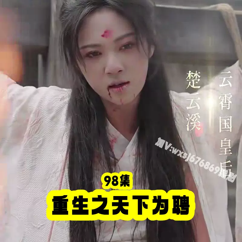 重生之天下為聘 21-30集