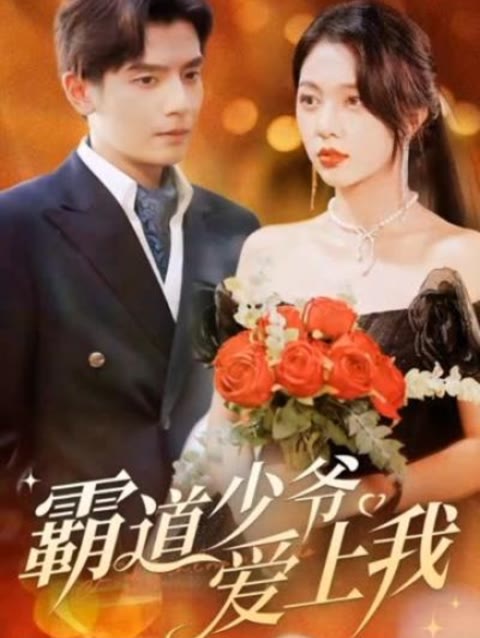 霸道少爷爱上我 21-40集