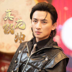 真假龙帅 全集(大结局)