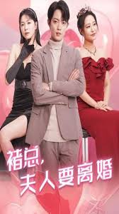 褚总夫人要离婚 全集(大结局)