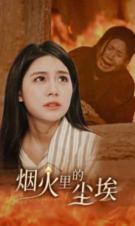 烟火里的尘埃 全集(大结局)