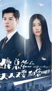 鹿总夫人又要和您摊牌了 全集(大结局)