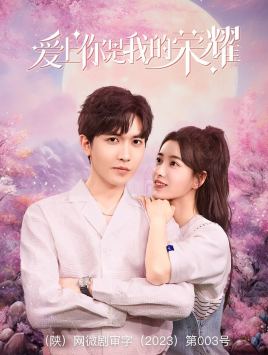 爱上你是我的荣耀 全集(大结局)