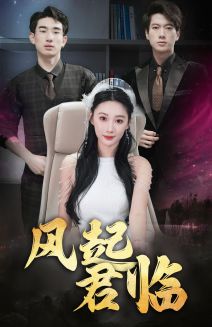 风起君临 全集(大结局)