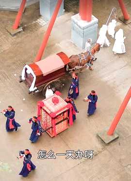 新：王妃她又美又飒103集 全集(大结局)