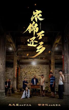 衣锦不还乡 全集(大结局)