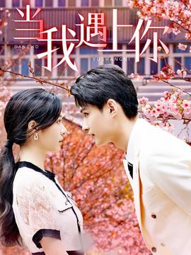 当我遇上你 全集(大结局)