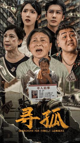 寻孤短剧 全集(大结局)