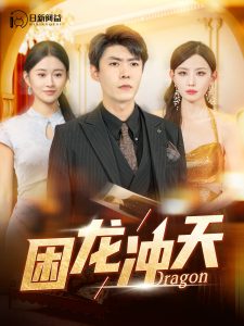 困龙冲天 全集(大结局)