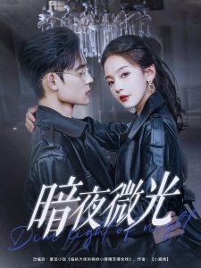 暗夜微光 全集(大结局)