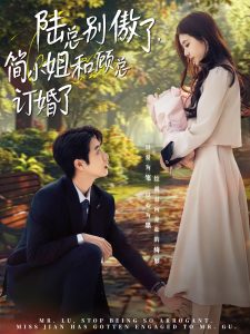 陆总别傲了，简小姐和顾总订婚了 全集(大结局)