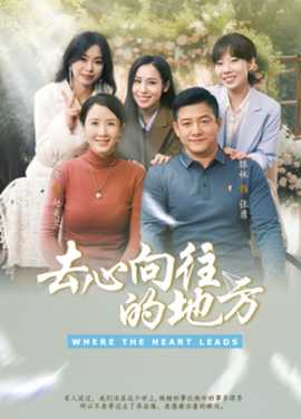 去心向往的地方 全集(大结局)