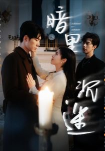 暗里沉迷 全集(大结局)