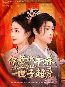 你惹她干嘛，她二嫁但世子超爱 全集(大结局)