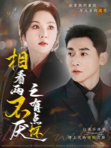 相看两不厌之有点坏 全集(大结局)