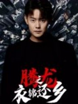 腾龙之衣锦还乡(全集)