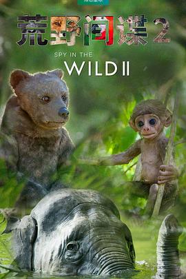 荒野间谍第二季 第02集