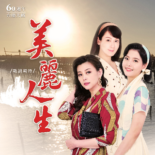 美丽人生台版 第233集