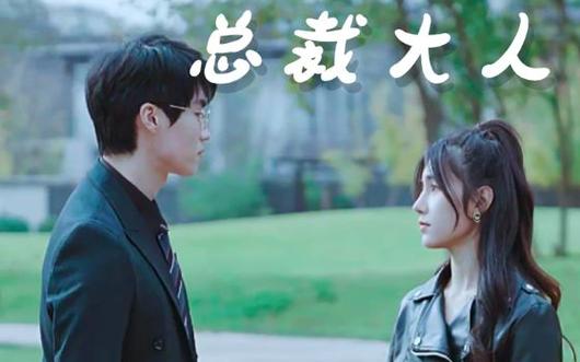 我的总裁大人 全集(大结局)