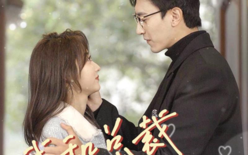 我和总裁互相装穷 全集(大结局)