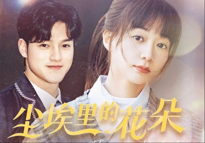 尘埃里的花朵 第31-65集完结(大结局)