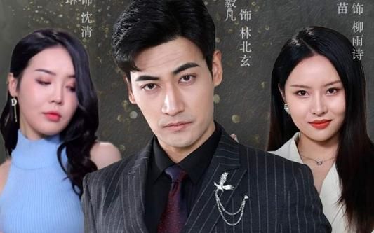 离婚后，我继承了家业 第31-65集完结(大结局)