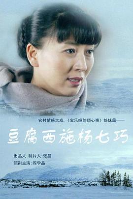 豆腐西施杨七巧 第12集