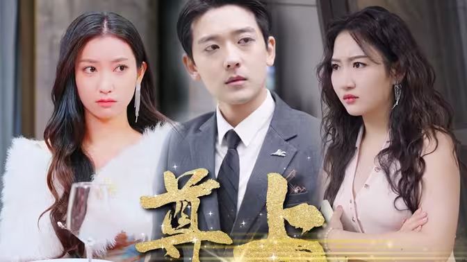 尊上 全集(大结局)